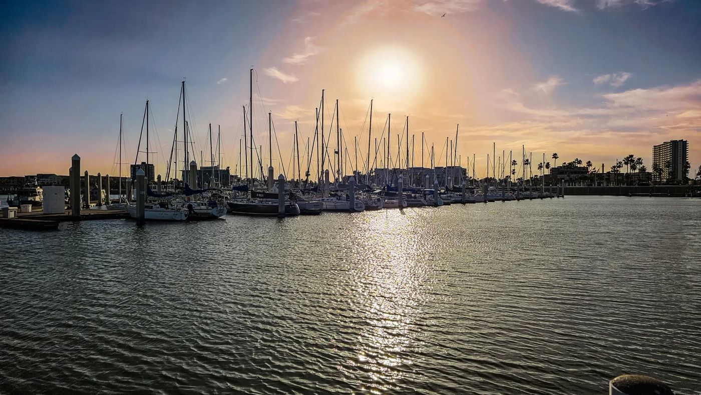 Sailboat masts and the bayfront skyline at Corpus Christi marina